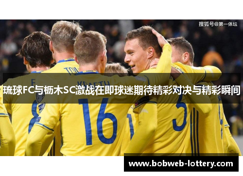 琉球FC与枥木SC激战在即球迷期待精彩对决与精彩瞬间